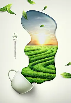 茶 茶叶 茶叶海报 茶叶展板 茶叶素材 功夫茶 白茶 黑茶 绿茶 红茶 茗茶 苦汀茶 普洱 铁观音 毛尖 养生背景 养生展板 小清新背景 合成
