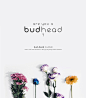 budhead : This is a movement to motivate people in the act of flower-giving. Who doesn't love receiving flowers out of the blue! Why wait for the next Valentine's day, birthday or anniversary? Just a single stalk of flower can cheer someone up, make someo