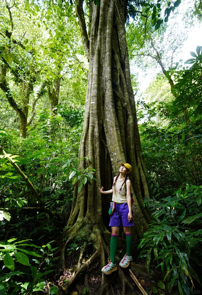 巴厘岛热带雨林徒步地球本来的样子 - 小...