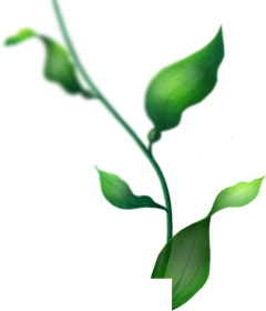 woshiy采集到植物