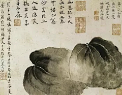 草堂话旧（采集到国画（清。朱耷）