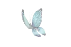 682e794cae28c444d527713f2467fd628a7fd99e6254-FXMpMA_fw658
