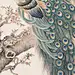 好美的画
