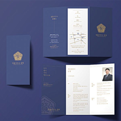 爱丽希雅的狗采集到折页