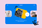 Cat colorful Ecommerce fuzzball hand drawn handwritten Shopify su (2)