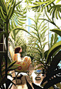 Green House . by PascalCampion