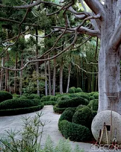 【景观绿篱植物设计图集下载】绿墙模纹花坛/法式园林花园/植物树木修剪迷宫