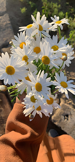 夏洛华生采集到花如烟