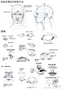 【#早间分享#】-----《#新手向基础教程# #眼睛基础结构教程#》-------- 只要结构明白了，还怕其他的么？！什么风格都是浮云~加油~