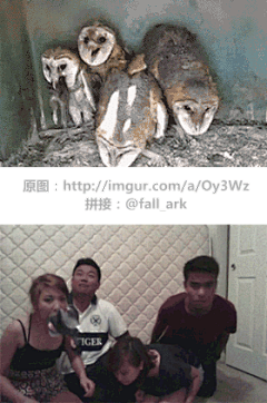 PINKER采集到搞笑