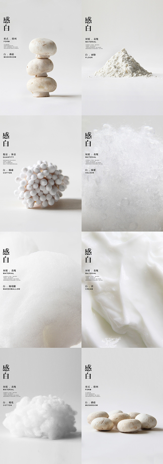 SENSE&WHITE