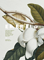 Esquire: Art direction, design, etc. - Rebecca Chew . Graphic Design inspiration . Trends of 2015:
