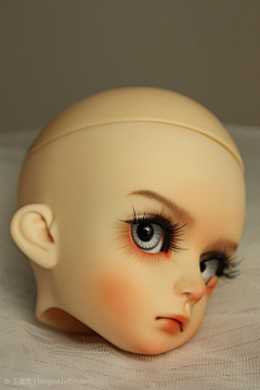 日向一阳采集到BJD