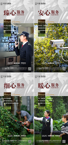 lucky奇采集到强销项目