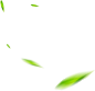 自然 清新 飘树叶 茶叶 植物 叶子 树叶 飞舞 海报素材 免抠素材 透明背景 png素材 —— 1设计素材网