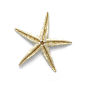 超高清 海星 海螺 贝壳 珊瑚 海马等 航洋生物主题 png元素 starfish-3