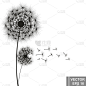 蒲公英。花。新鲜的空气。为你的设计。