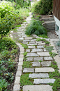 13 Cheap DIY Garden Path Ideas | Affordable Garden Path ideas