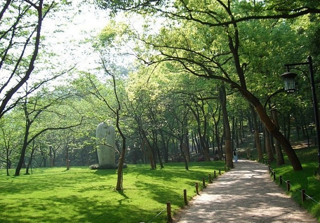 杭州太子湾公园植物景观