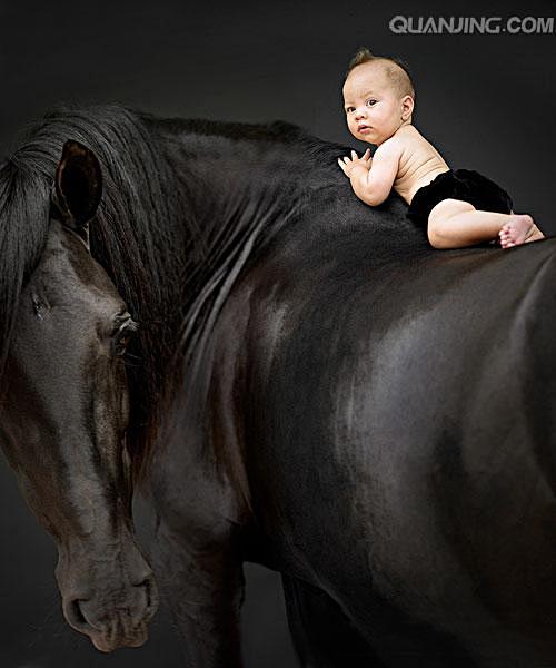 马和婴儿