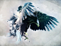 General 1920x1440 eagle birds artwork feathers