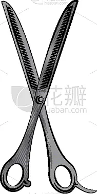 头发,理发师,厨房器具,剪刀,商务,模板,古董,钢铁,设备用品,证章
