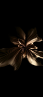 38baf3515a6baeacad259e88f45c7319.jpg (1080×2400)