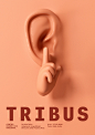 729_TRIBUS_CDN_JAVIER_JAEN