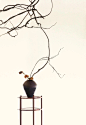 (549) Pinterest