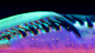 SLEEPING ALIEN : This series of photos is taken with the help of the reverse side of the Tamron lens 18-300 mm