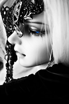 星光的倩影采集到BJD