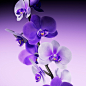 Flora - Orchid :: Behance