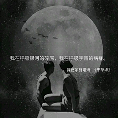 慢热的小怪兽采集到【日签文艺范 LIKE】