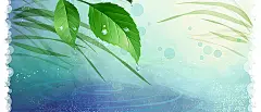 雨季,雨水,清新,绿叶,插画,唯美,气泡,海报banner,卡通,童趣,手绘图库,png图片,网,图片素材,背景素材,93755@飞天胖虎