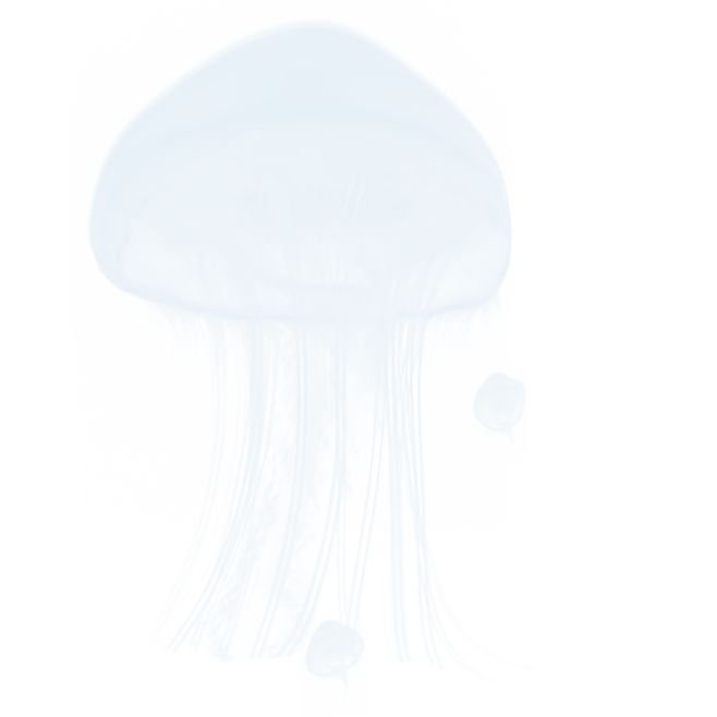 水母