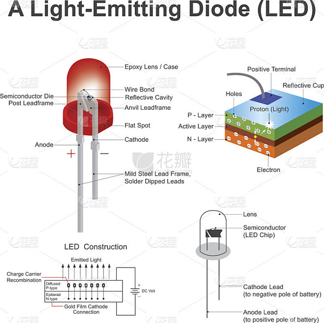 发光二极管(LED)结构。教育信息图形向量。