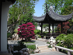 7pKOZQdP采集到庭院