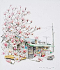 【韩国插画师Me Kyeoung Lee手绘的街角便利店】
 Me Kyeoung Lee的所有作品都与韩国街边小商店（柑仔店）相关，作品用墨水描绘然后用清新的色彩轻柔的点缀到画中。每张作品都蕴含了古朴的韵味和谈谈的温馨。这些作品都很精致，里面放置了很多小商品，堆放的水果和蔬菜盒、停放的自行车、各类盆栽植物等等。