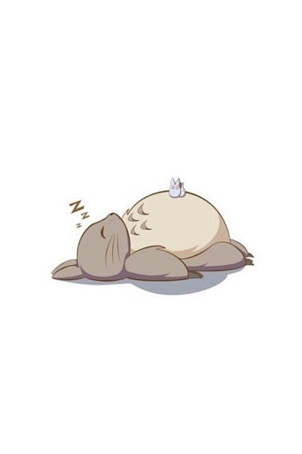 龙猫