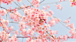 beautiful_spring_season-wallpaper-2048x1152