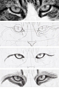 Craftsy - Google+