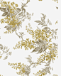 花藤高清素材 手绘 抽象花纹 玫瑰 羽毛 艺术字体 花朵 花瓣 雪花 鲜花 免抠png 设计图片 免费下载
