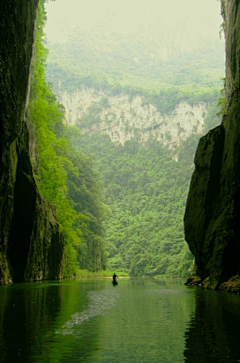 设计师笑林采集到陪你去看风景