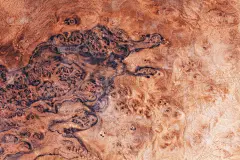 单板木材材料异国情调