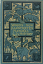 Wood’s New Illustrated Natural History… Rev. J G.Wood  1893                                                                                                                                                                                                    