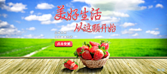 大虾因雨滴而纵横采集到素材_01