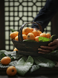小楨采集到素材-自然、植物、景观
