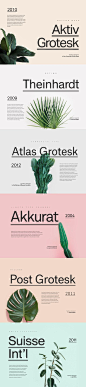 6 Great Contemporary Alternatives to Helvetica…