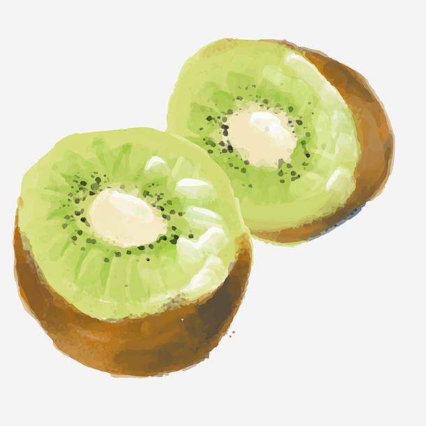 手绘彩绘奇异果矢量图高清素材 png 设...