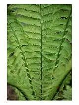 世界名画|360万幅进口装饰画|室内装饰画批发|室内装修挂画|国外经典装饰画|客厅书房软装配饰画|欧美原版海报|艺术品投资|摄影作品|美术院校教学用画|网上艺术博物馆_经典传承®精品风景线©装饰画超市